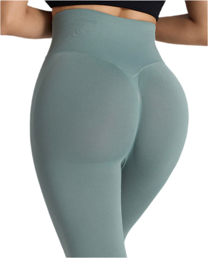 Snatched Seamless Leggings